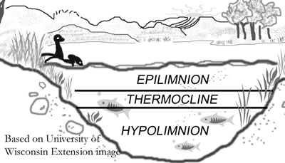 Thermal Stratification